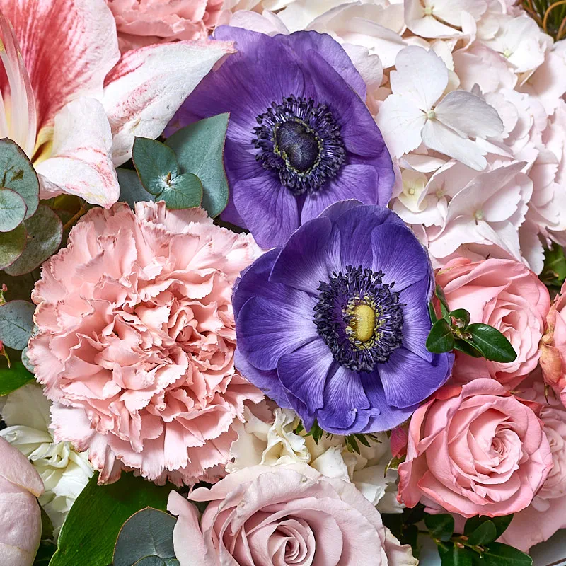 Букет "Нежное откровение" из пионовидных роз, анемонов и амариллиса, фото 3