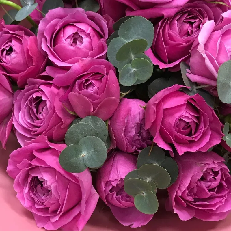 Букет роскошных пионовидных роз «Мисти Баблс», фото 4