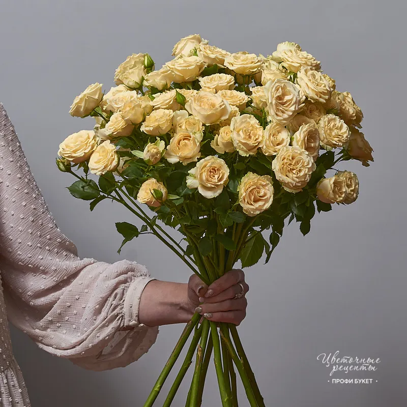 Роза кустовая «Салинеро», фото 4