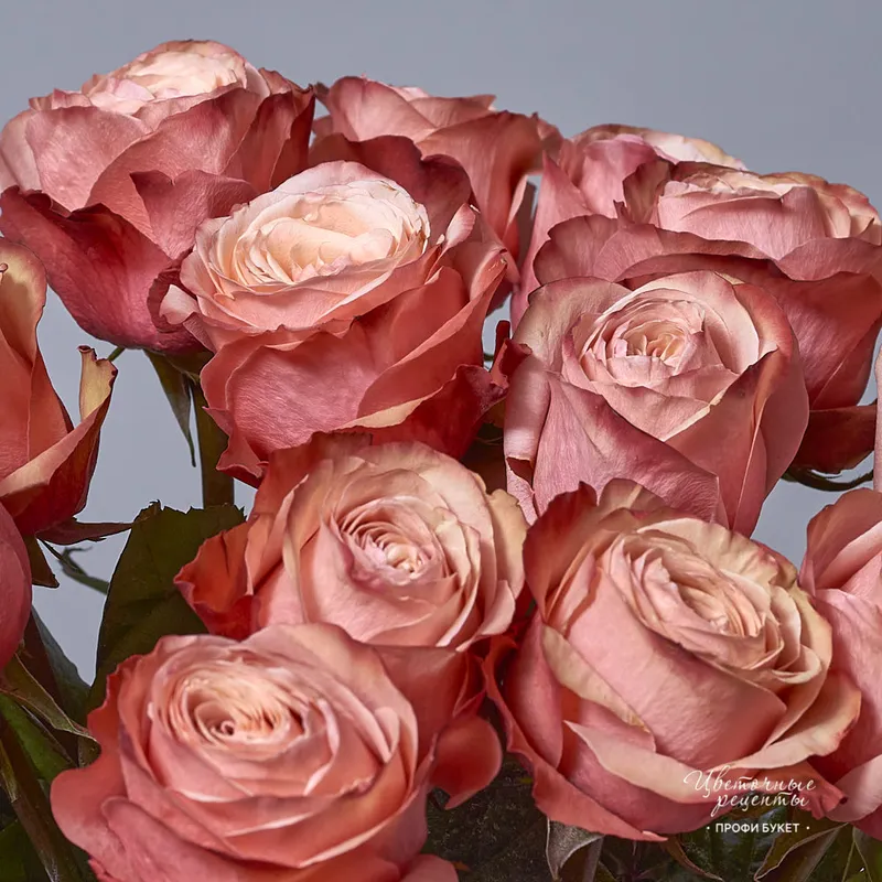 Букет из пионовидных роз «Кахала», фото 4