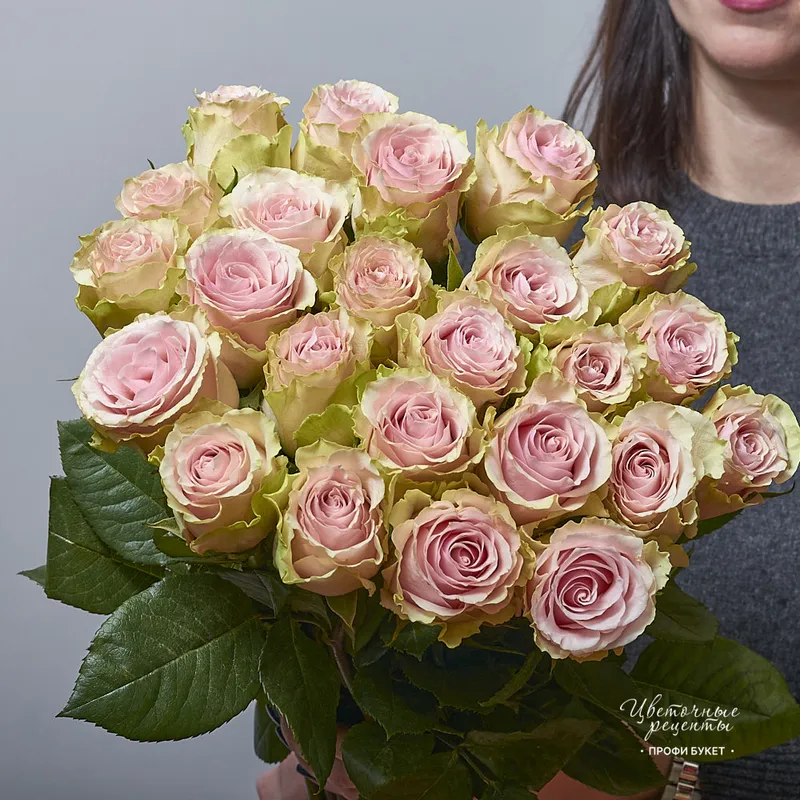 Букет из 25 одноголовых нежных роз Фрутетто , фото 3