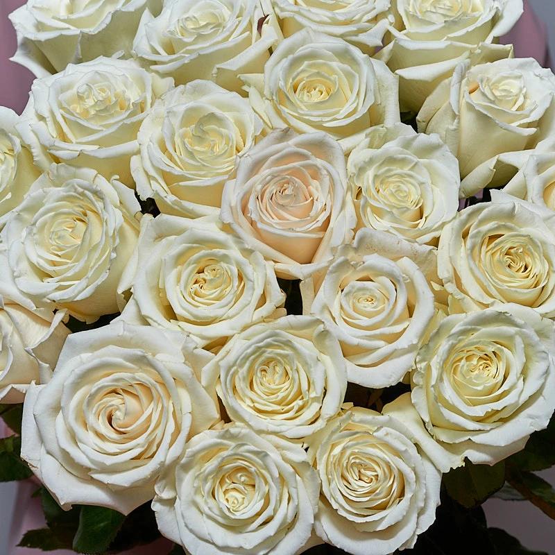 Монобукет из белых роз Плая Бланка, фото 3