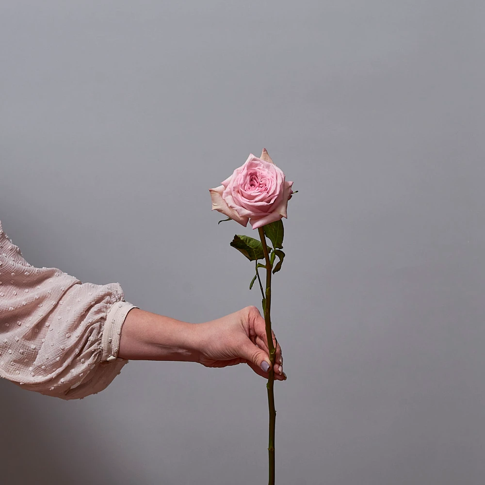 Монобукет из ароматных пионовидных роз Пинк Охара, фото 4