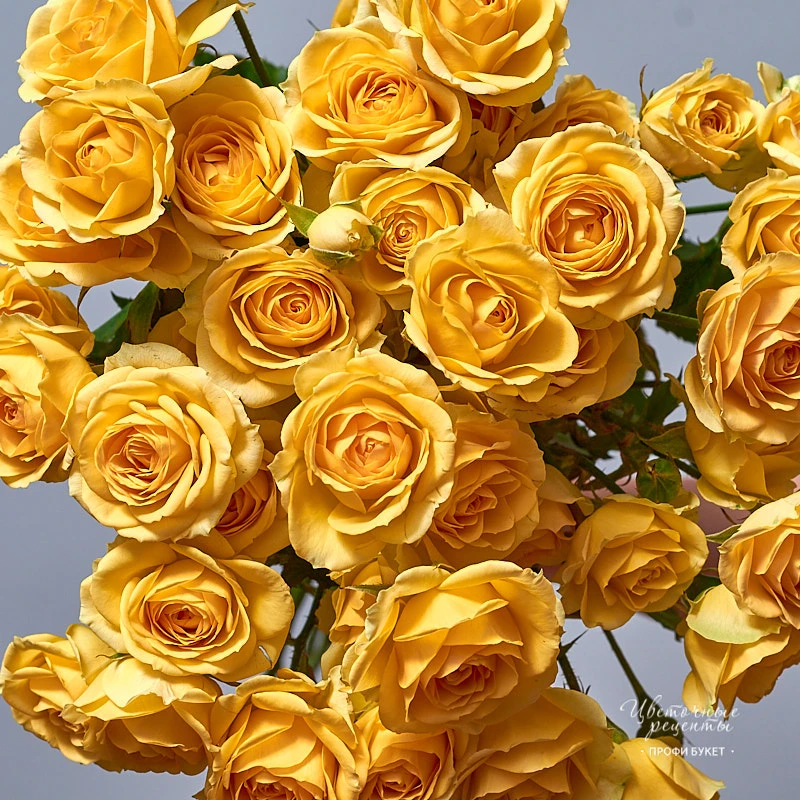 Монобукет из ярко-желтых кустовых роз, фото 4