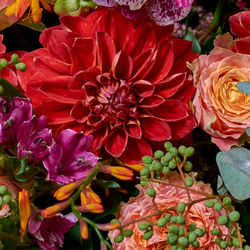 Букет из роскошных георгин и пионовидных роз "Апероль", фото 6