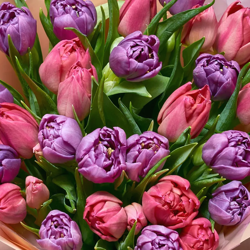 Букет из ярких пионовидных тюльпанов (49), фото 5